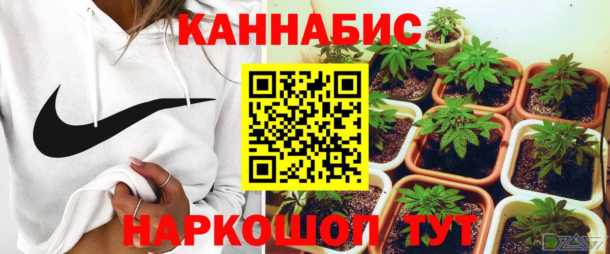 Канабис гибрид  Бошки марихуана LSD WEED  Бошки марихуана SATIVA & INDICA  Бошки марихуана тримм  Вход с VPN  Дзержинск 